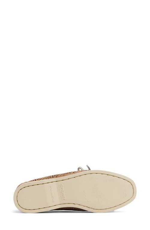 Sperry Perforated Loafer