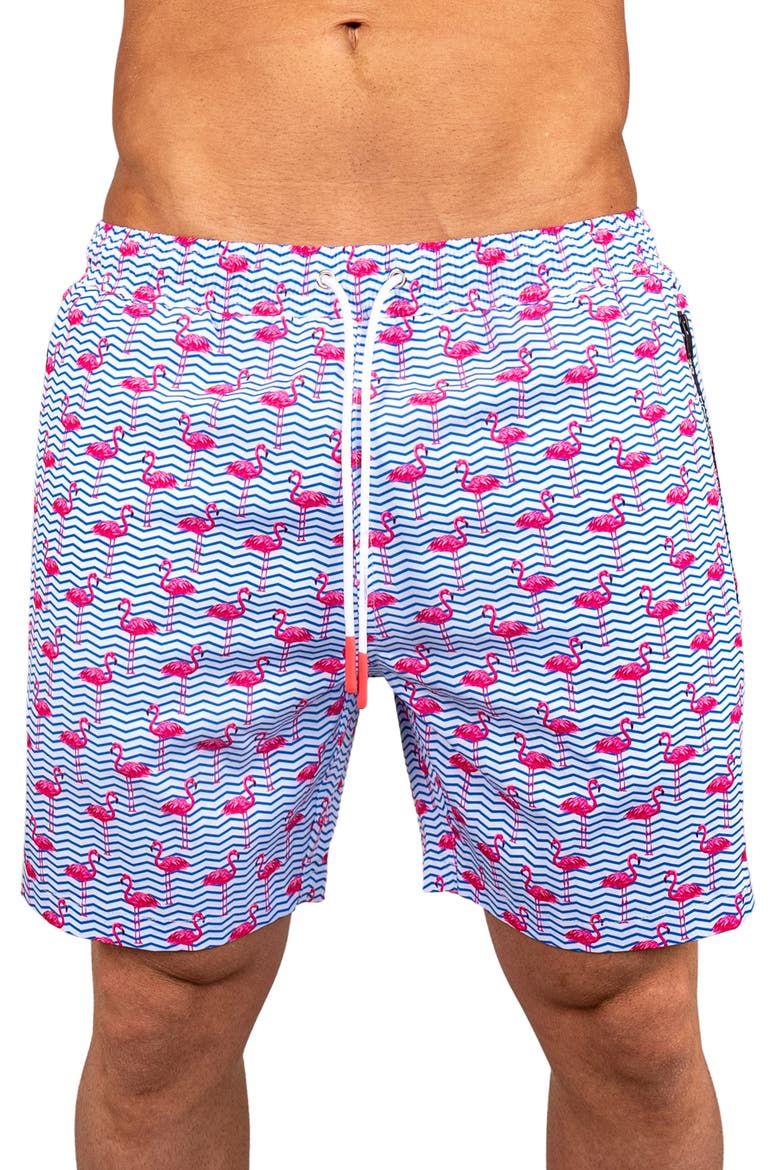 Swim Lion Flamingo Swim Trunks, Main, color, BLUE