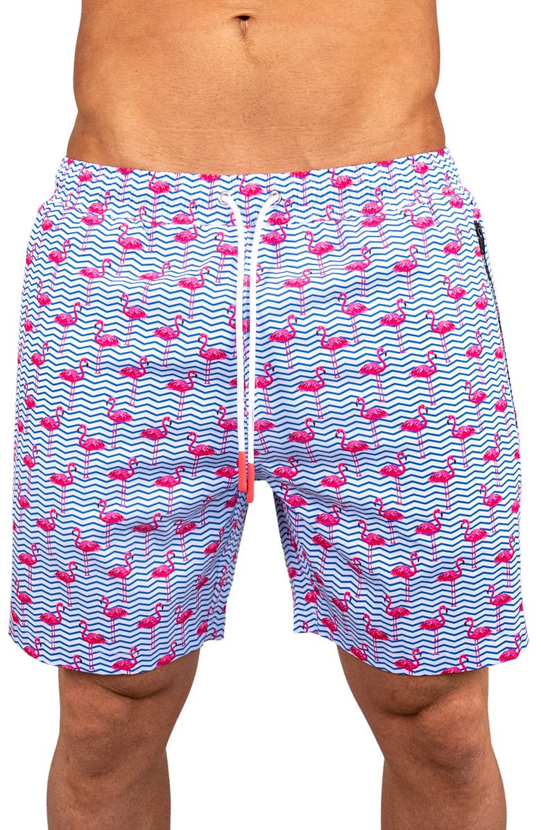Maceoo Swim Lion Flamingo Swim Trunks, Main, color, Blue
