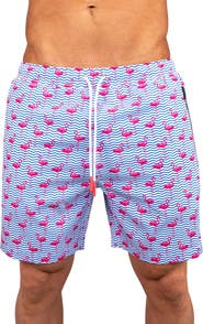 Maceoo Swim Lion Flamingo Swim Trunks