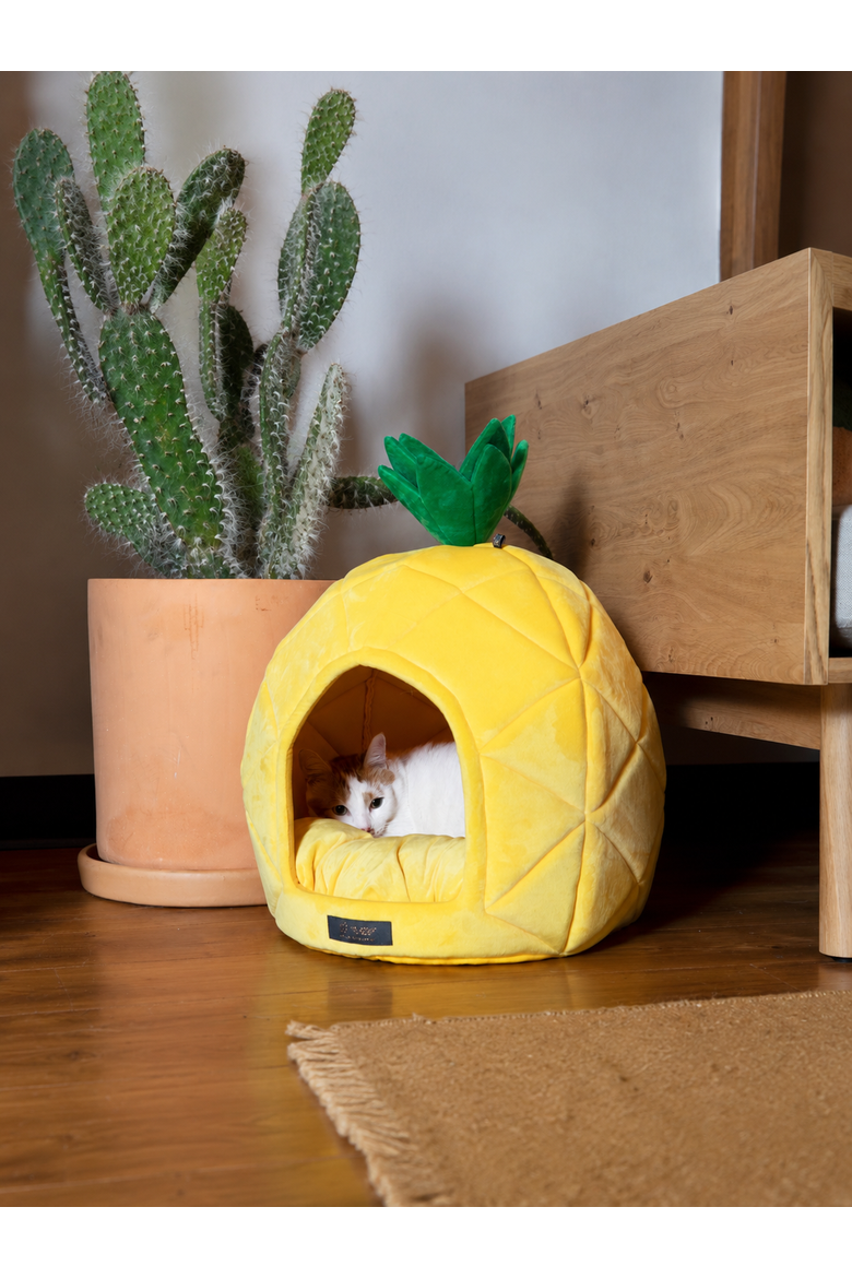 Fun Collection Dog and Cat Bed - Pineapple Prive, Alternate, color, Yellow