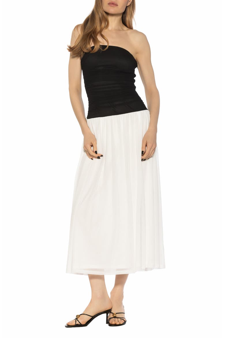 Seraphina Strapless Midi Dress, Main, color, BLACK/ WHITE