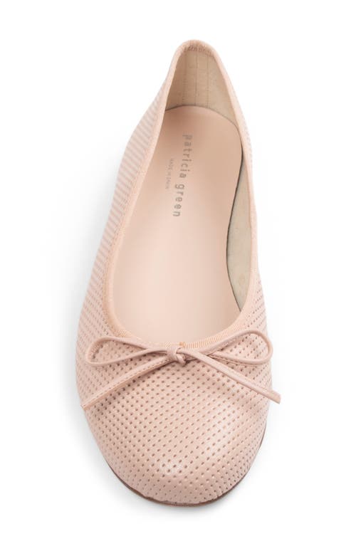 Patricia Green Skim Ballerina Flat In Blush Perforated