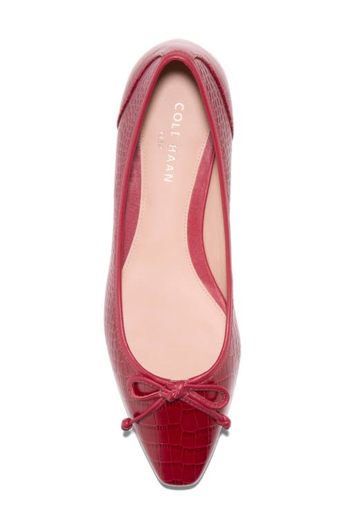 Cole Haan Chlea Pointed Toe Ballet Flat In Brown