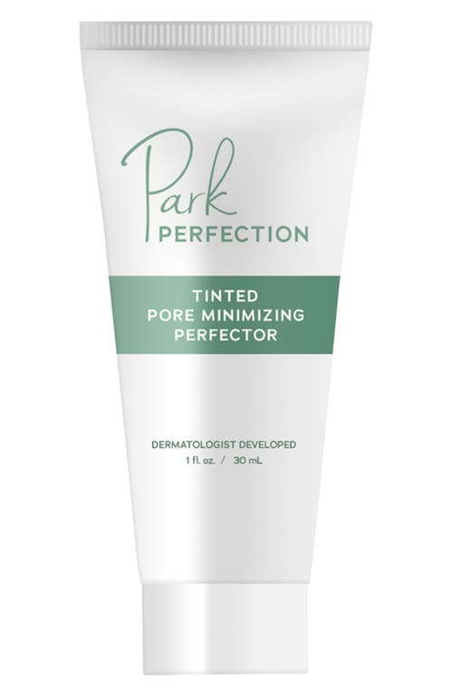 Park Perfection Tinted Pore Minimizing Perfector  product