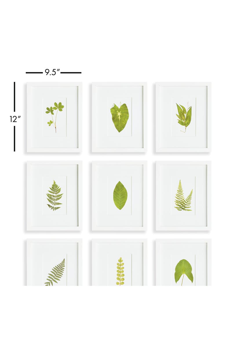 Napa Home & Garden Green Leaf Petite Prints St/9, Alternate, color, 