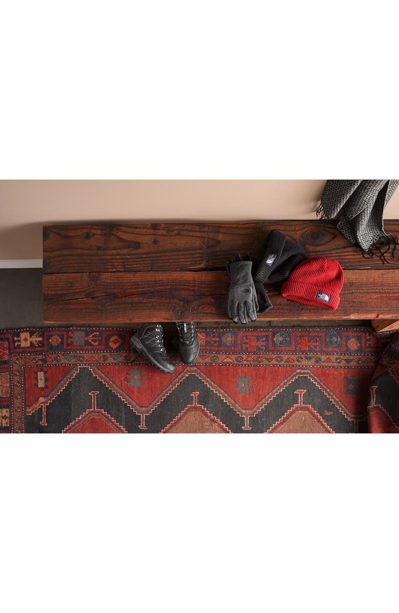 The North Face 'Salty Dog' Beanie, Alternate, color, 