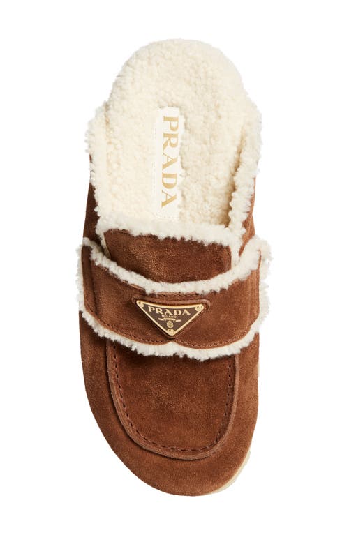 Prada Suede Shearling Cozy Loafer Mules