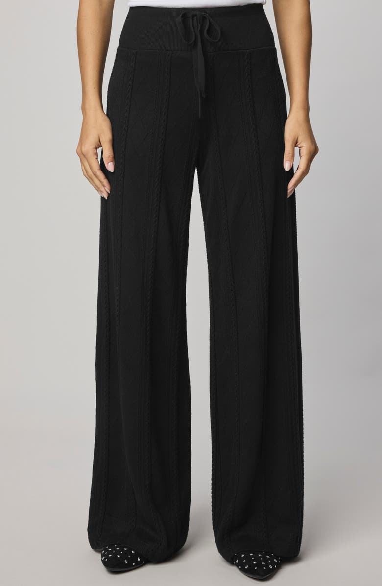 Splendid Cable Drawstring Wide Leg Pants, Main, color, Black