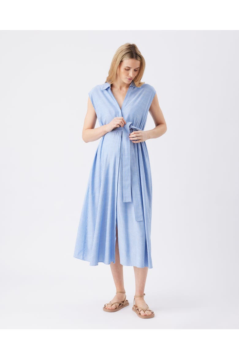 Abby Stripe Shirt Dress, Alternate, color, Blue / White