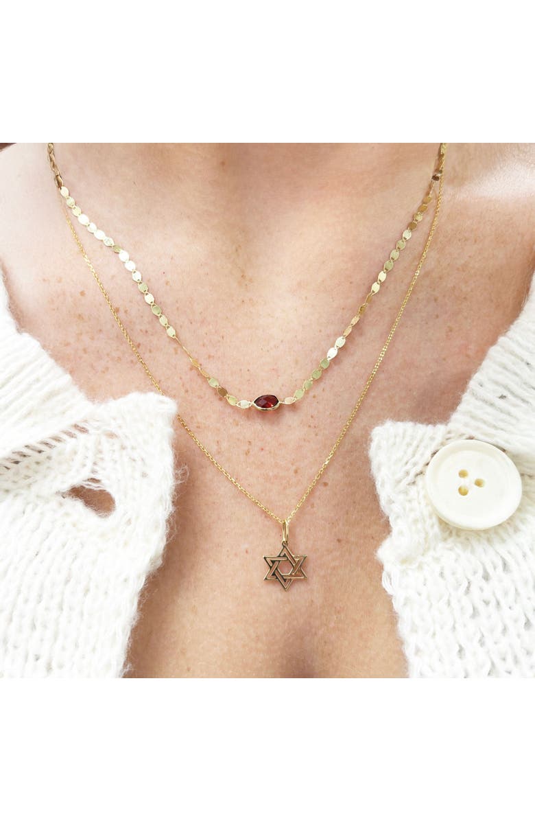 The Lovery Fine Jewelry Garnet Disco Necklace, Alternate, color, Garnet