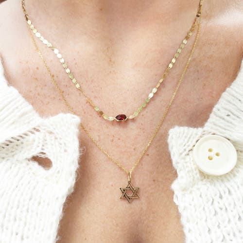 The Lovery Fine Jewelry Garnet Disco Necklace In Burgundy
