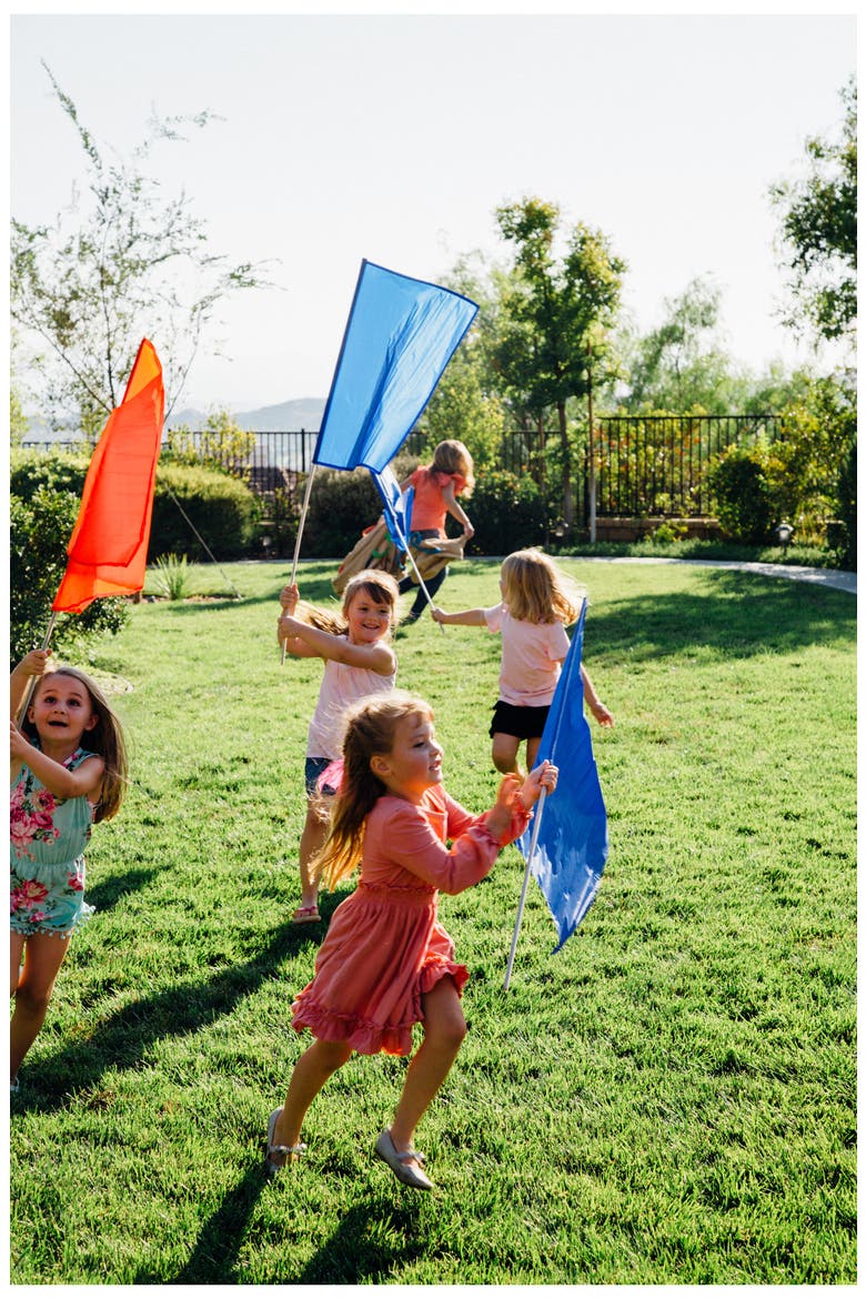 12-Pack Color Flag, Alternate, color, RED
