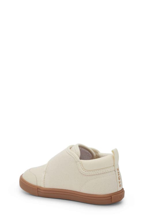 Stonz Cruiser Sneaker In Oatmeal