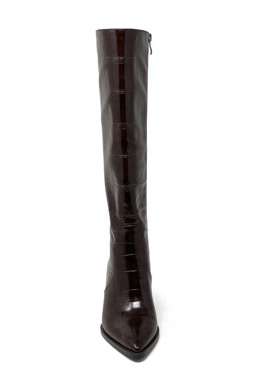 Shushop Vanessa Pointed Toe Knee High Kitten Boot In Brown