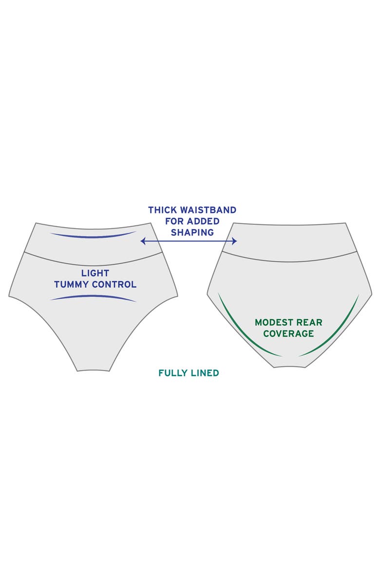 Trimshaper Wide Waistband Yoke-Top Control Plus Size Swim Brief, Alternate, color, Black