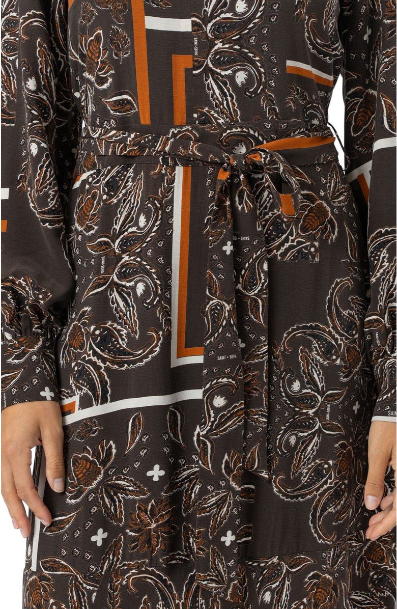 Saint + Sofia Allegra V-Neck Dress, Alternate, color, Brown Paisley