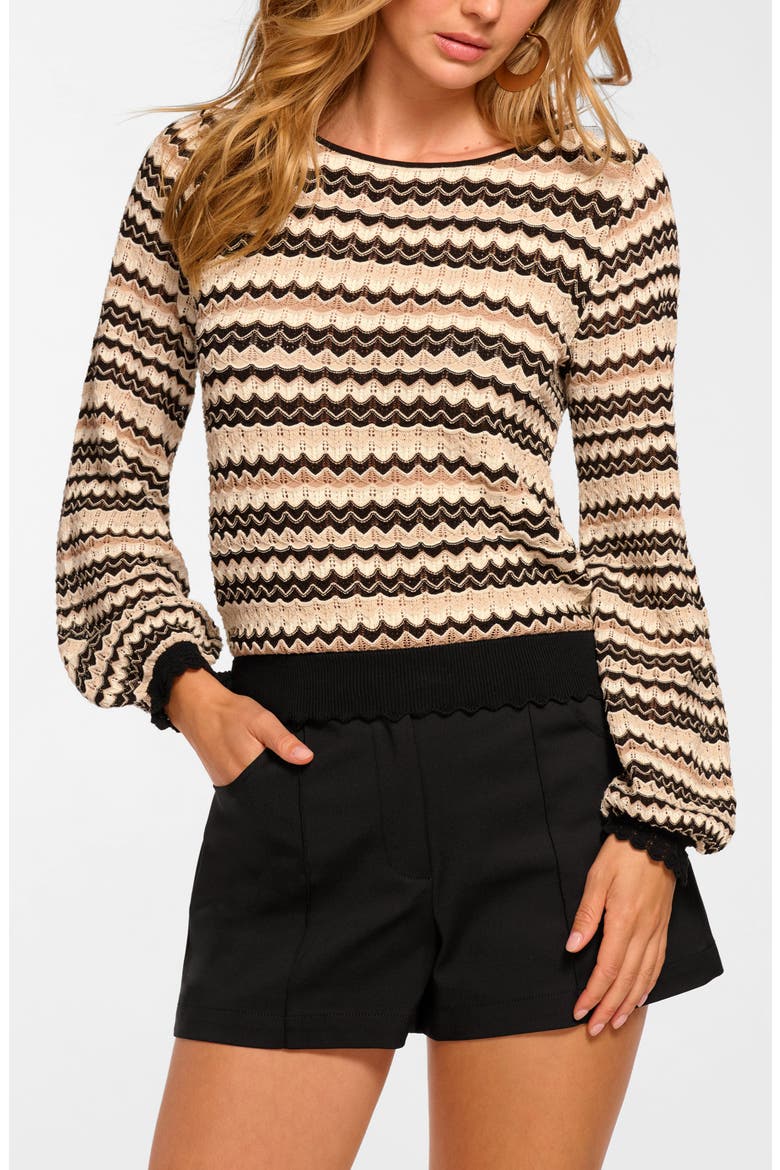 Fiora Pointelle Sweater, Main, color, SANDSTONE CHEVRON