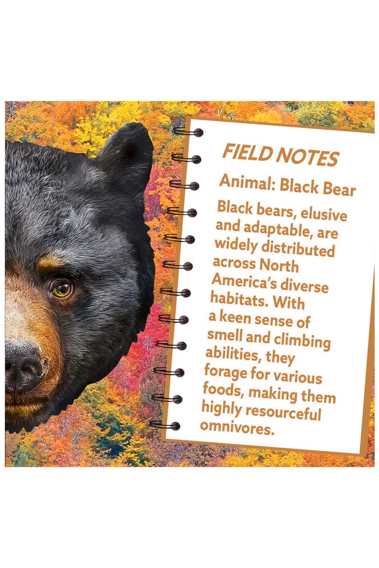 Black Bear 100 Piece Shaped Puzzle, Alternate, color, Multicolor
