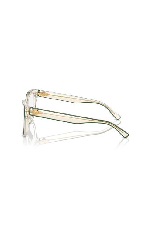 Tory Burch 51mm Cat Eye Optical Glasses In Transparent