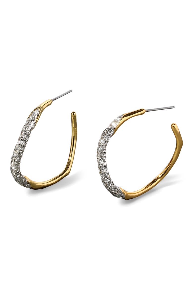 Solanales Crystal Pavé Hoop Earrings, Main, color, CHAMPAGNE