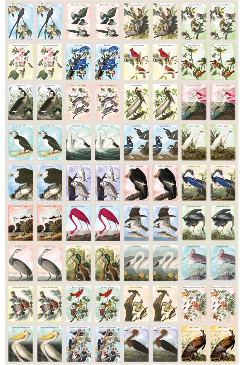 Audubon Memory Game, Alternate, color, Multicolor