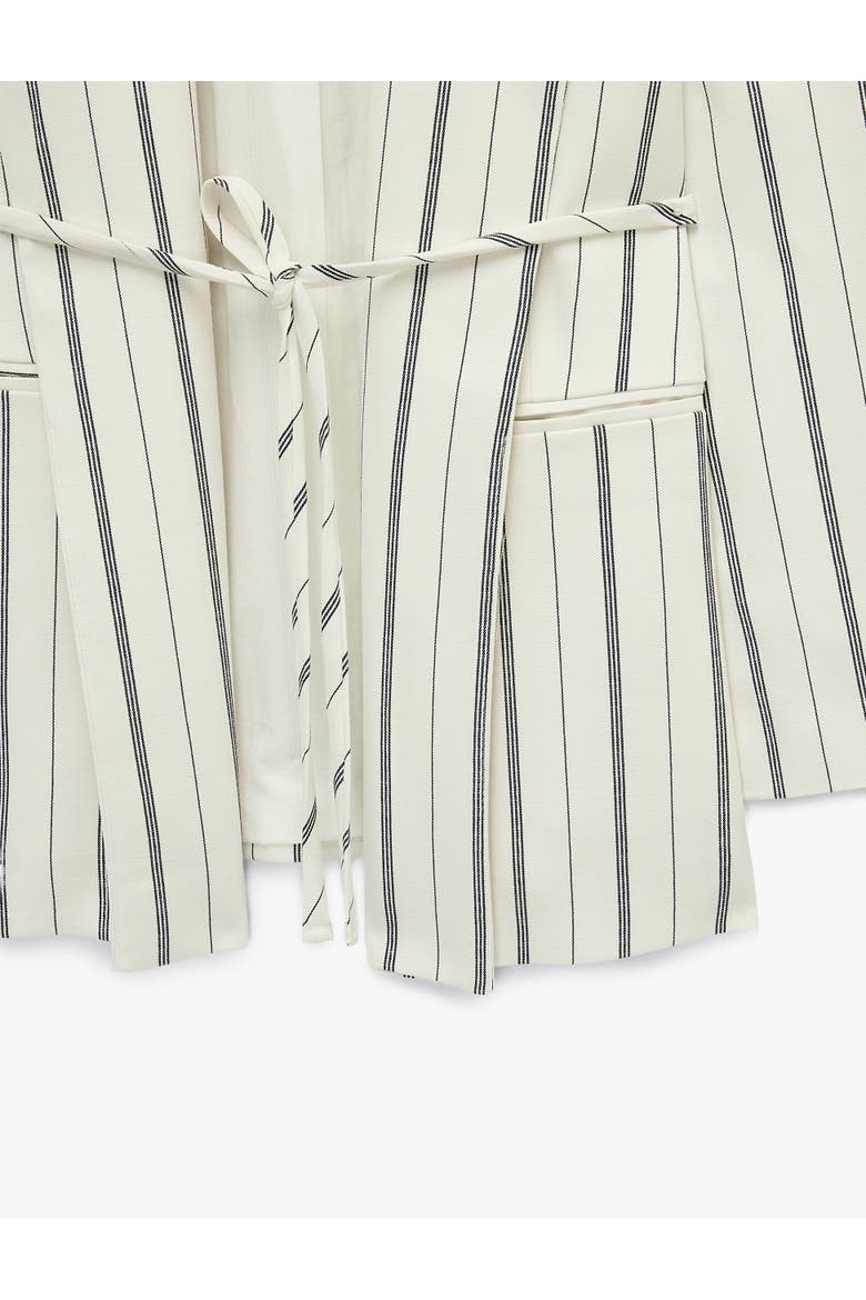 Striped Long Sleeve Belted Blazer, Alternate, color, WHITE STRIPE