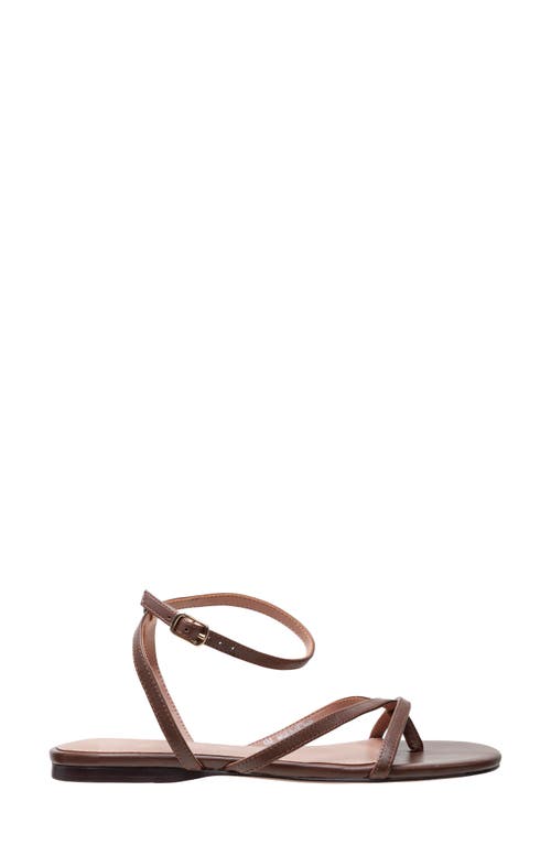Linea Paolo Luz Ankle Strap Sandal In Chocolate