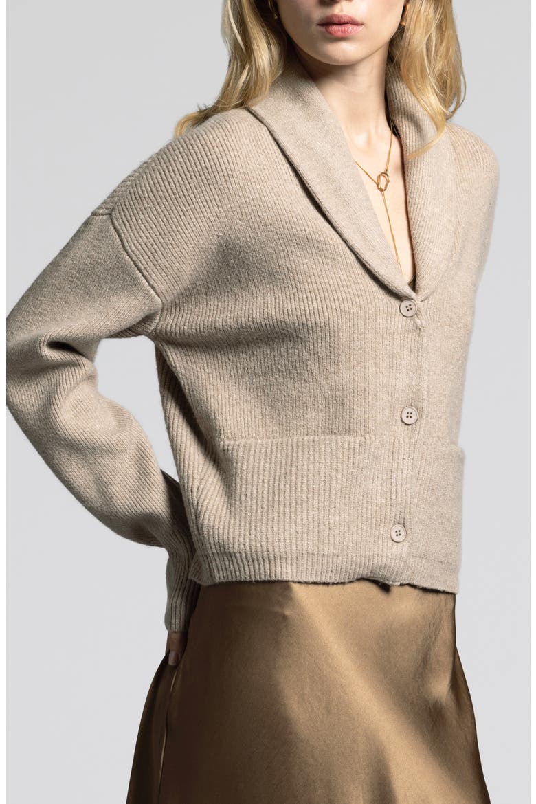 Candice Shawl Collar Cardigan, Alternate, color, GRAVEL