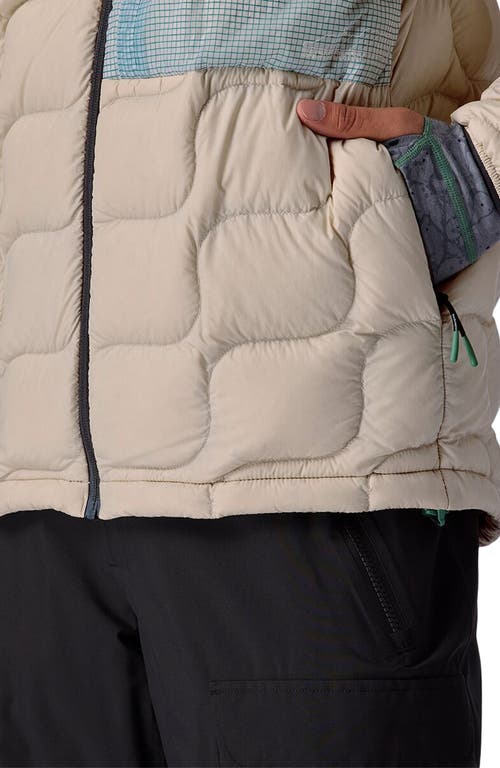 Backcountry Waas Allied Down Hooded Jacket In Neutral