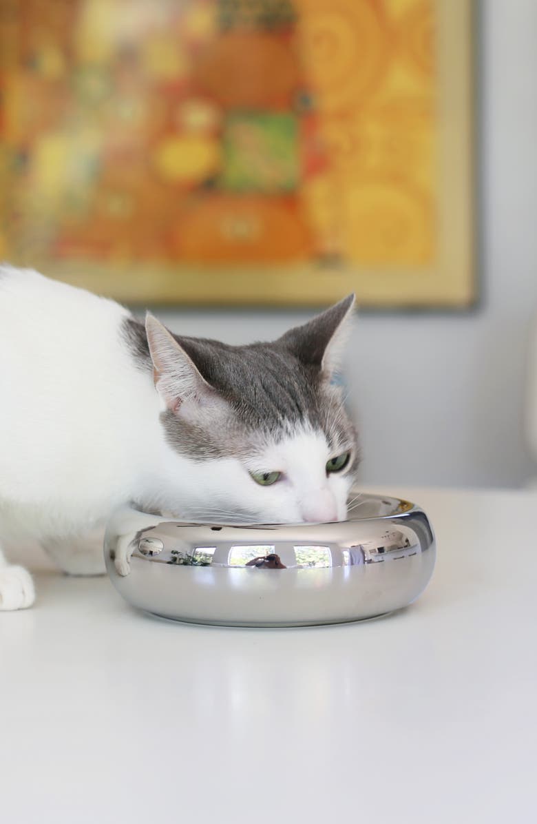 Catenary Halo Chrome Cat Bowl, Alternate, color, Chrome