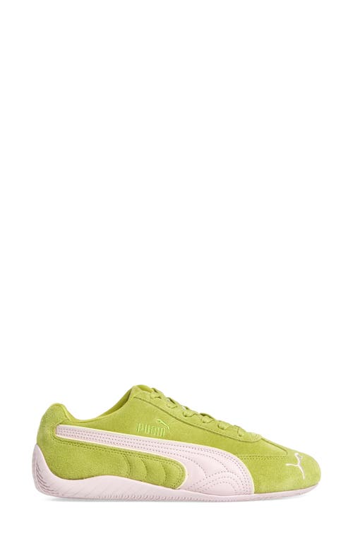 Puma Speedcat Piping Sneaker In Sea Kelp-rose Mauve