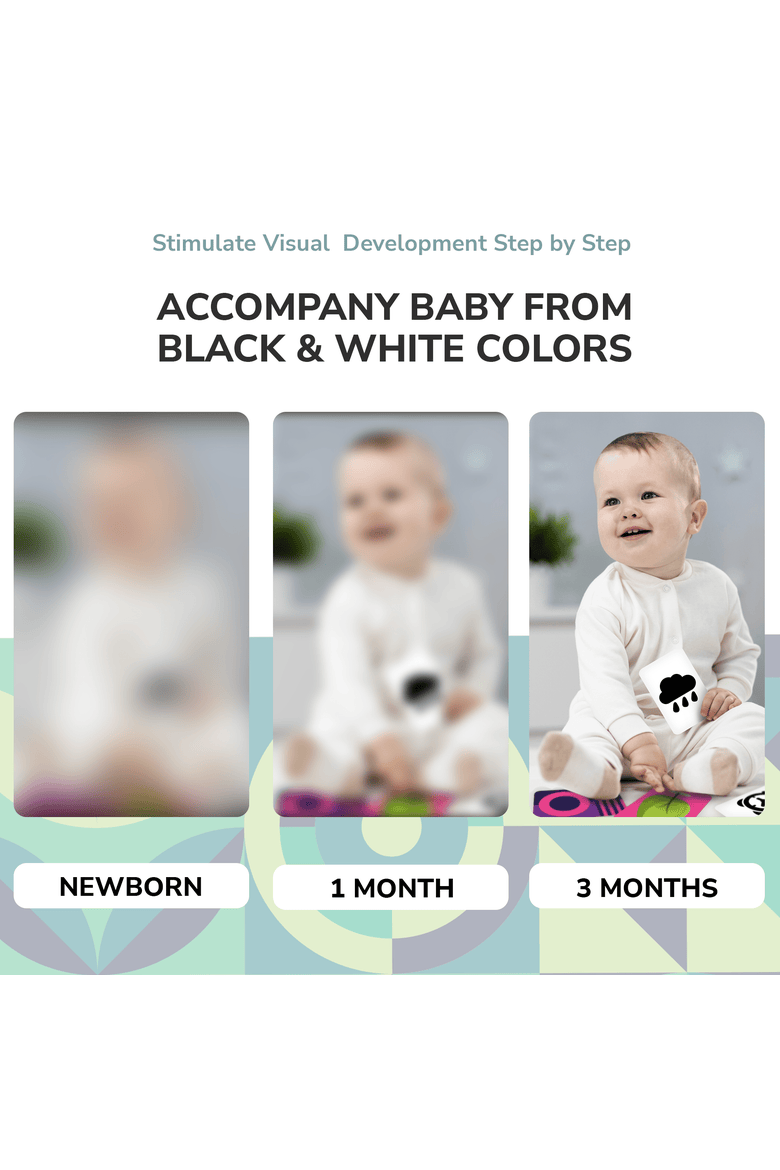 Educational Kids Flash Cards - High Contrast & Vocabulary, Alternate, color, SET 2