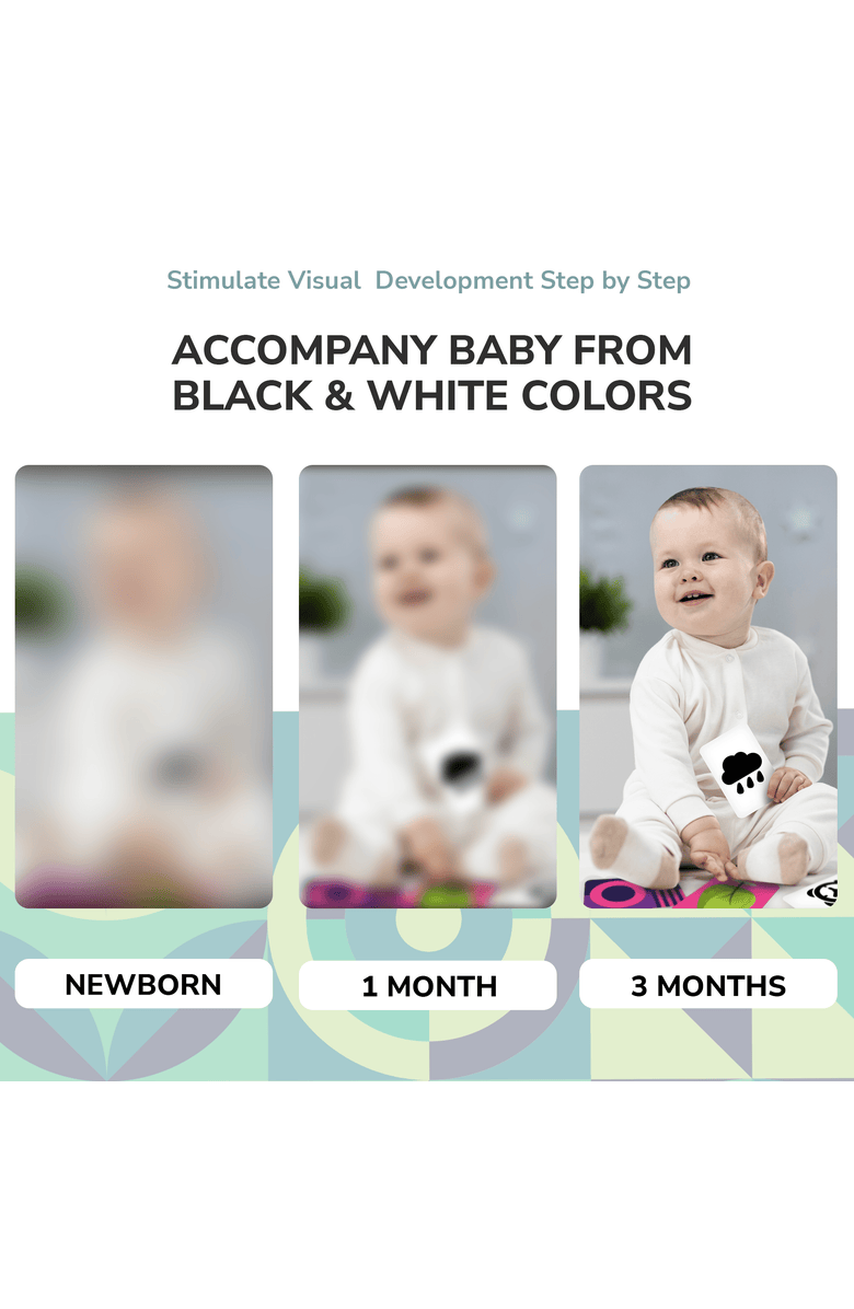 Quokka High Contrast & Vocabulary Flash Cards for Kids, Alternate, color, Set 2