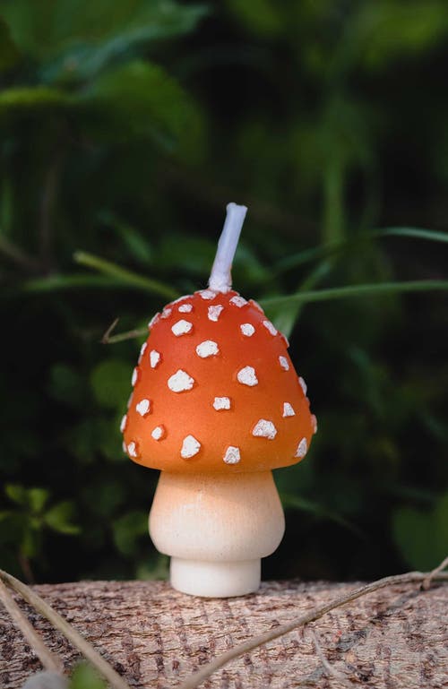 Southlake Gifts Mini Mushroom Candle Set In Red/orange