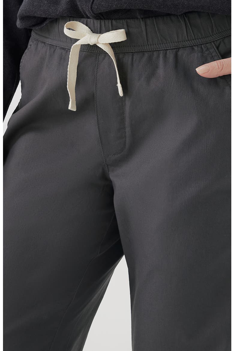 Organic Cotton Daily Twill Crop Pant, Alternate, color, Storm