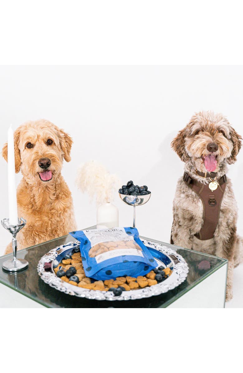 Dexypaws Peanut Butter & Blueberry Dog Biscuits 12oz, Alternate, color, Brown