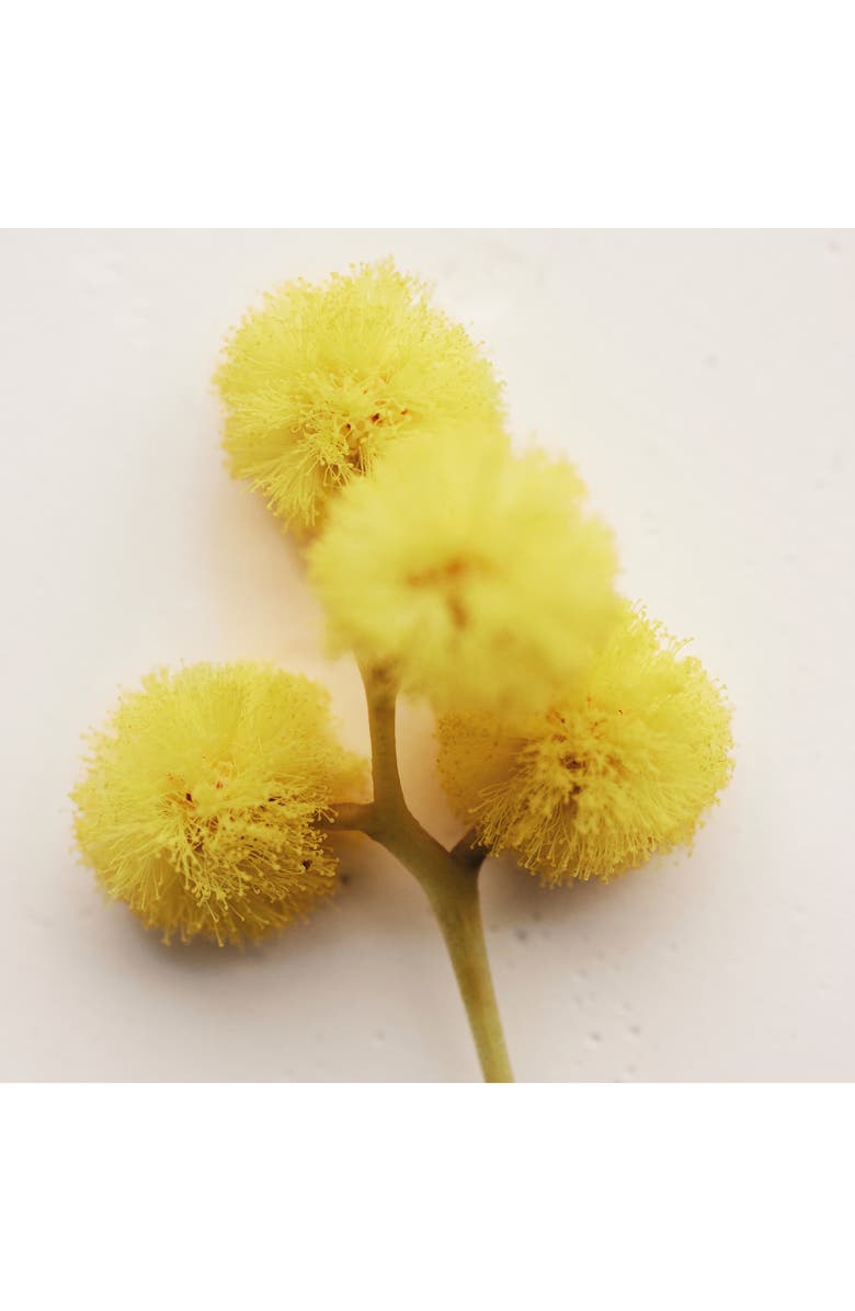 Chloé Atelier des Fleurs Herba Mimosa Eau de Parfum, Alternate, color, 