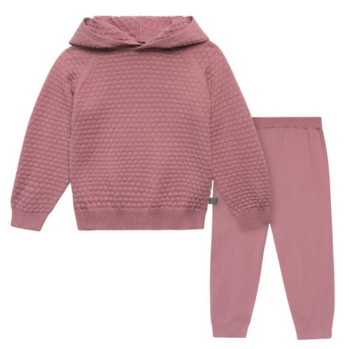 Modern Moments™ By Gerber Sweater Knit Hoodie & Pant Set In Rose