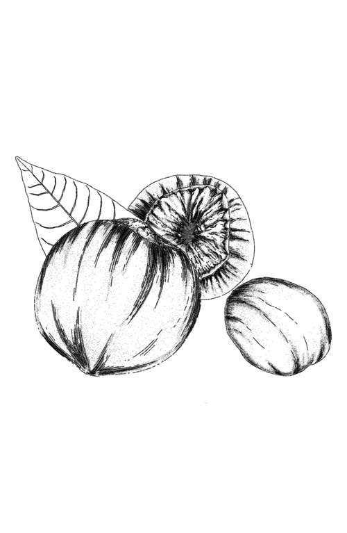 Amouage Reasons Essence De Parfum In No Color