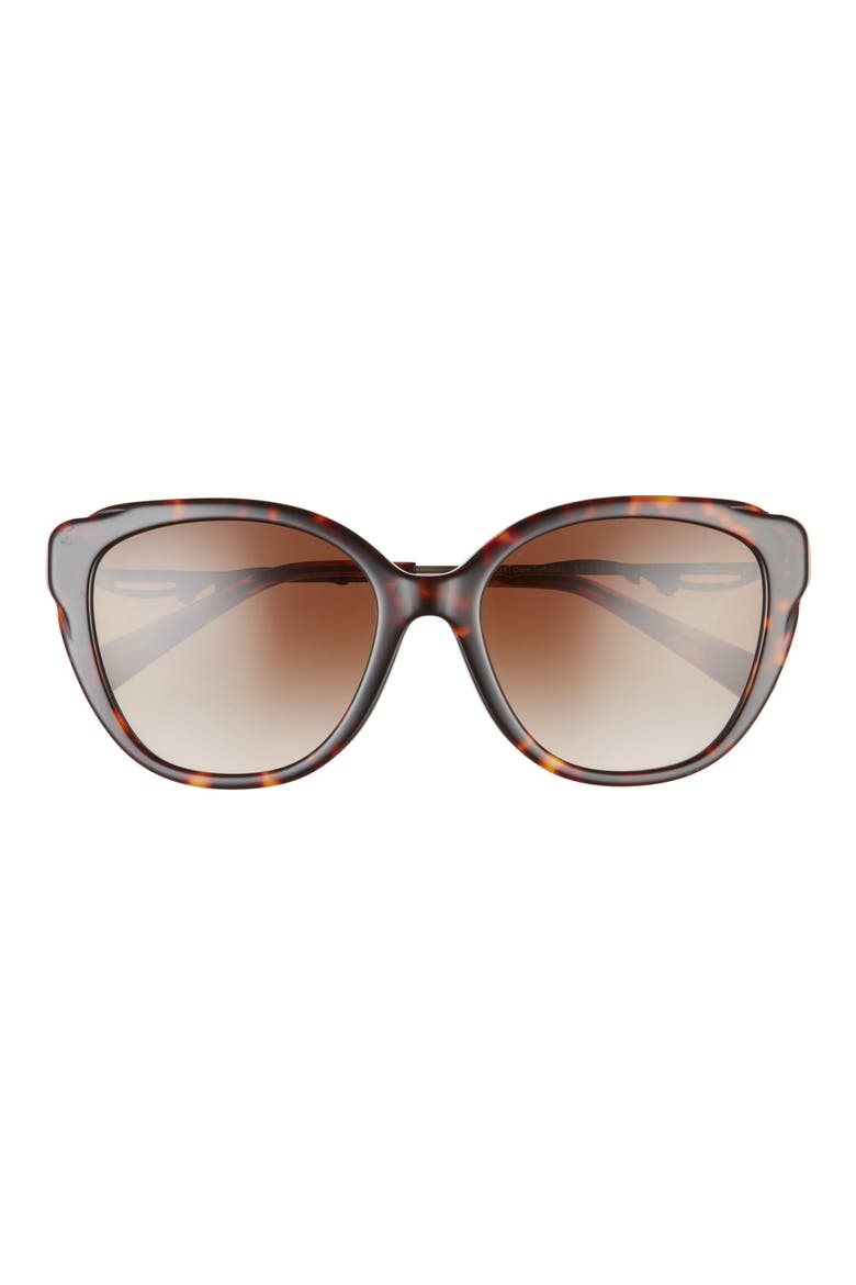 55mm Cat Eye Sunglasses, Main, color, DARK TORTOISE