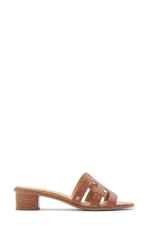 Sam Edelman Illie Logo Slide Sandals Women's Shoes In Dark Bourbon