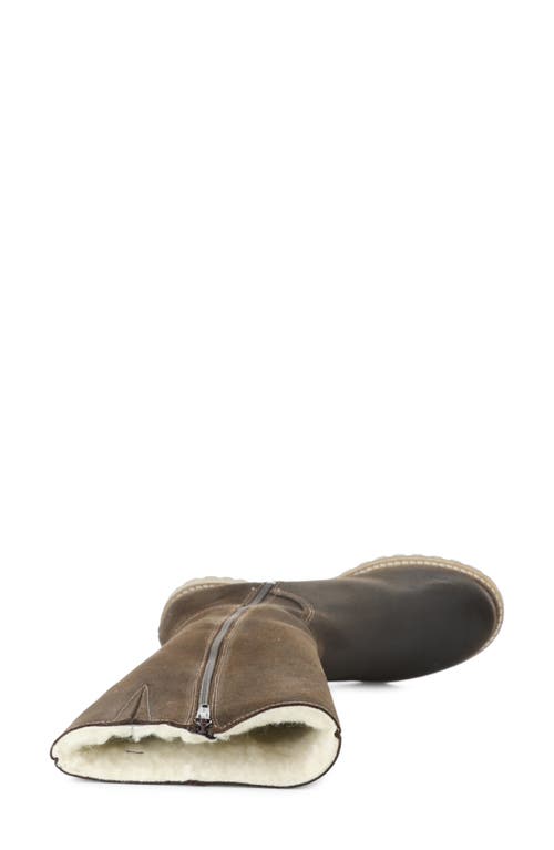 Bos. & Co. Hudson Waterproof Boot In Brown