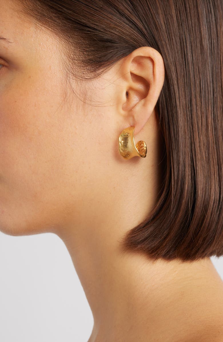 Set & Stones Aden Hoop Earrings, Alternate, color, Gold