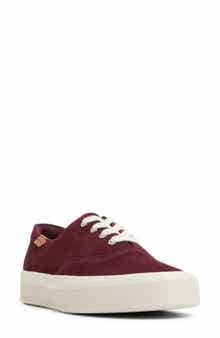 Sperry Candy CVO Platform Sneaker