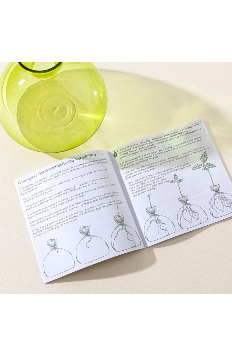 Uncommon Goods Avocado Vase by ilex Studio, Alternate, color, Grass Green