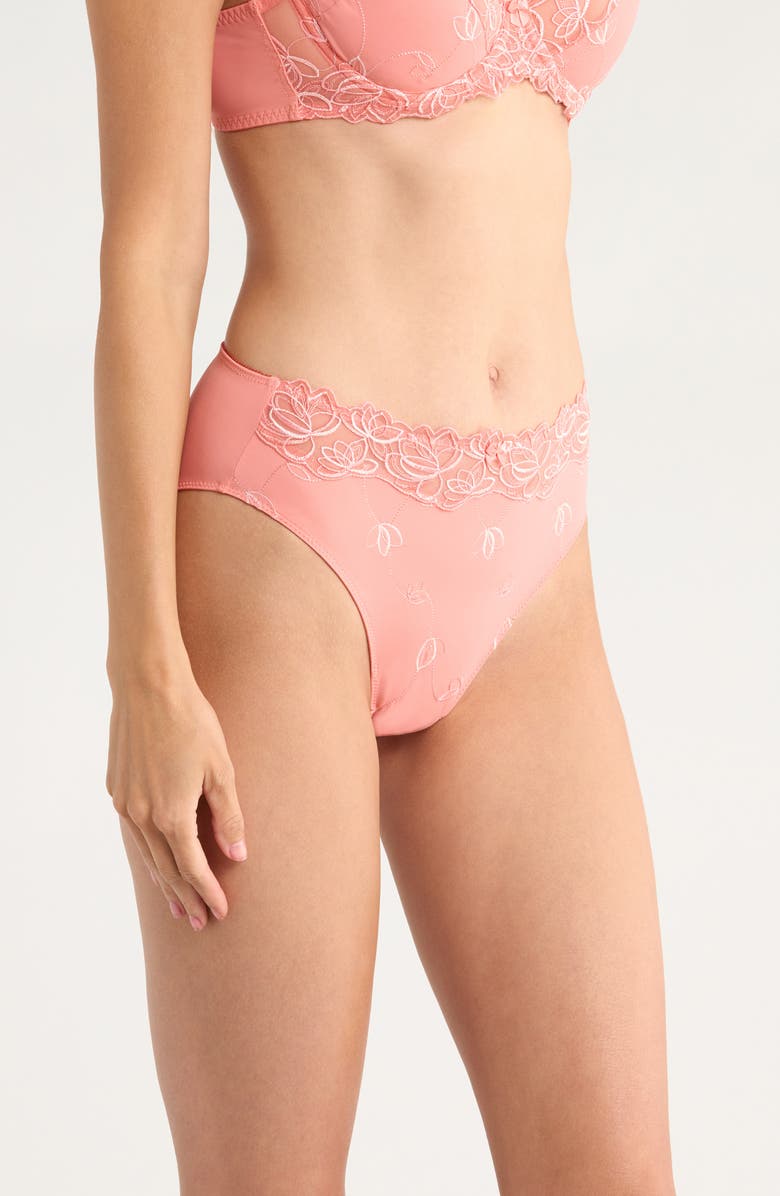 Hunkemöller Diva Embroidered Mesh Panties, Alternate, color, 