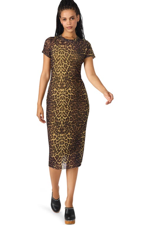 Steve Madden Hailee Print Dress In Animal Print