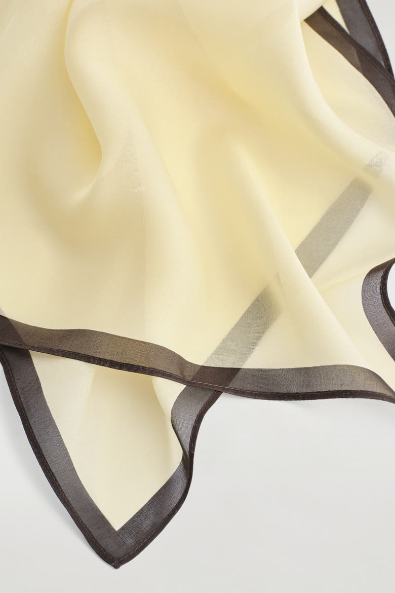 Silk-organza Scarf, Alternate, color, BUTTER / BROWN