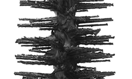selected EXTENSIVE BLACK